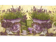 №144       1/2      10 �