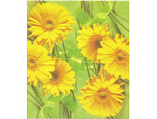 №8  ��  5 �    3-� �������