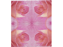 № 16  �� 5 �