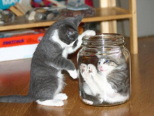 � ������.jpg