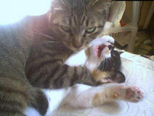 ������ ������� ������� ������ ������.jpg