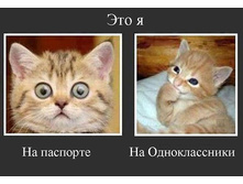 ��� ���.jpeg