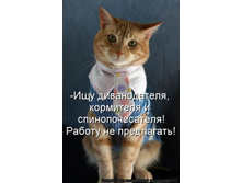 ����� ����.jpg