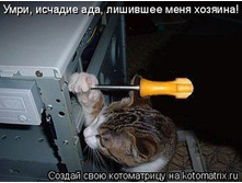 ��� ����� ����.jpeg