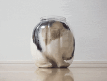 ����� � ����� �����.gif