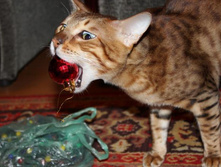 ����� � �������.jpg