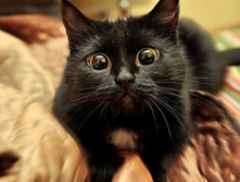 ����� ����̣�.jpg