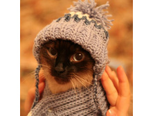 ����� � �������.jpg