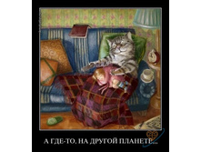 �� ������ �������.jpeg