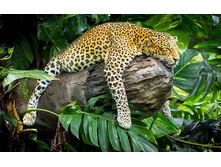 �������� �������.jpg