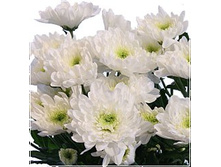 ���������� ����� 60 ��