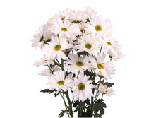 ���������� ������� ����� 60 ��