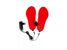 ������� � ���������� � ������� ���������� RedLaika RL-ST-02 (��) 2950 ���..jpg