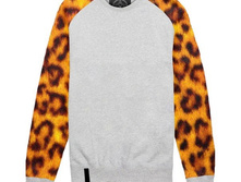 ��������� ���� ������ 5.jpg