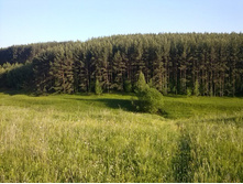 CAM00073.jpg