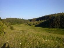 CAM00074.jpg