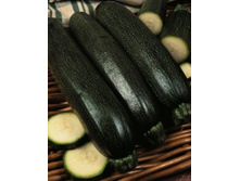 ������� ������� ��������� 5,40 ���..jpg