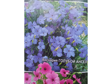 �������� ������� �����.jpg