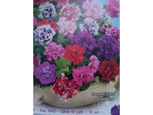 ������� �������� ���� ������� ������� ����� 10��.��