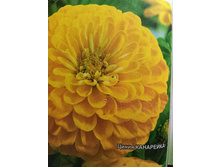 ����� ���������.jpg