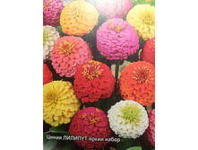 ����� ������� ����� �����.jpg