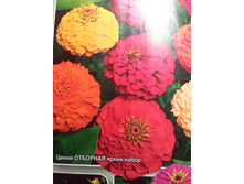 ����� �������� ����� �����.jpg