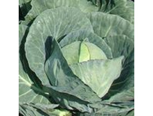 ������� �� ������� 12 ��. 15,50 ���..jpg