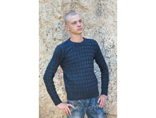 ������� �������. ������ 1005