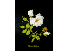 ���� ������������ ������_300+%