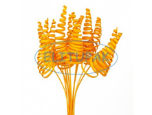 �153 ����� �� ������� �� ���� ��.��������� (10), 152 ���..jpeg