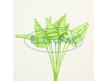 �158 ����� �� ������� �� ���� ��.������� (10), 152 ���..jpeg