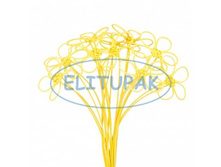 �170 ����� �� ������� ����� �� ���� ������ (10), 255 ���..jpeg