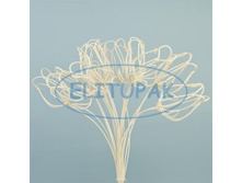 �174 �������� �� ������� �� ���� ���������� (10), 316 ���..jpeg