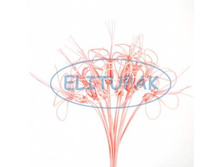 �182 ����� �� ������� �� ���� ������� (10), 293 ���..jpeg