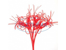 �184 ����� �� ������� �� ���� ��.������� (10), 293 ���..jpeg