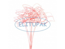 �194 ������ �� ������� �� ���� ������� (10), 282 ���..jpeg