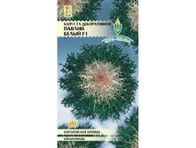 ������� ������������ ������ �����  5 �� 10,00 ���..jpg