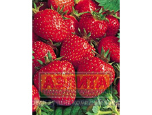 �������� �������  71,50 ���..jpg