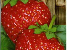 �������� ����� 18,00 ���..jpg