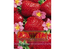 �������� ������� ������������ 39,50 ���..jpg