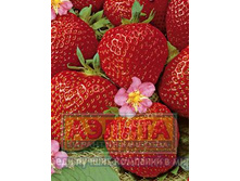 �������� ����� 74,00 ���..jpg