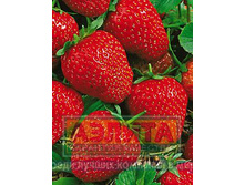 �������� ������ 22,00 ���..jpg