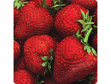 �������� ���������� ���������� 16,80 ���..jpeg