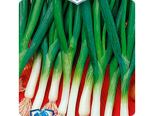 ��� ����� ������ 0,5 ��. 8,40 ���..jpeg