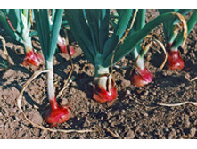 ��� ����������� 6,70 ���..jpg