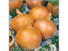 ��� ���������� ����� 1�� 15,00 ���..jpg