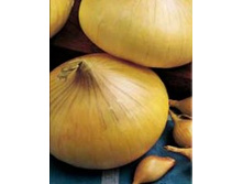 ��� ���������� 300  ����.  5,50 ���..jpg