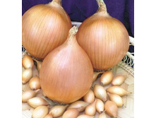 ��� ������  1 ��. 6,90 ���..jpg