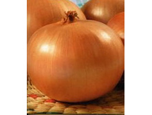 ��� ������ 2��. 9,00 ���..jpg