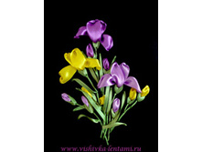 �������� �����_250+%